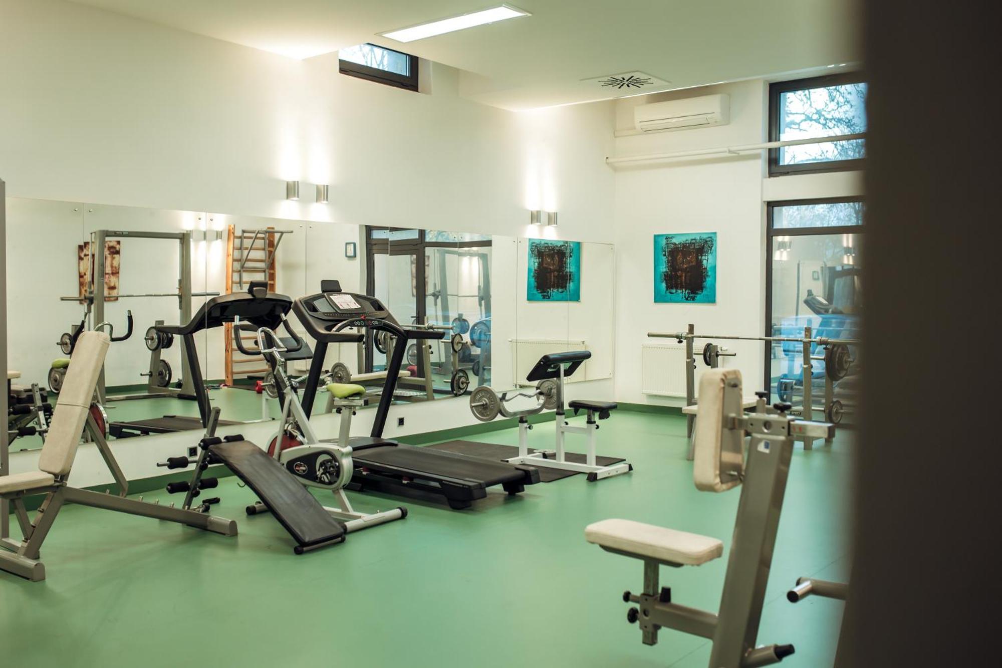 Hotel Kastiel Mojmirovce Екстер'єр фото